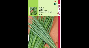Zaden Bieslook Grove Hortitops - Hortitops
