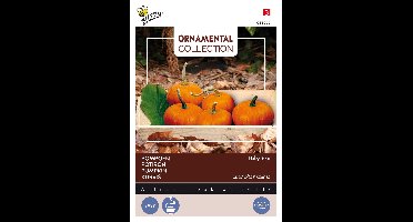 Zaden Ornamental Wintersquash Baby Bear Buzzy - Buzzy