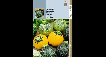 Zaden Courgette Ronde F1 soorten gemengde kleuren Hortitops - Hortitops