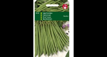 Zaden Stamslabonen Nautica 100g Tuinplus - Tuinplus