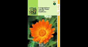 Zaden Calendula Akkergoudsbloem Hortitops - Hortitops