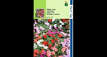 Zaden Impatiens Vlijtig Liesje Safari F2 gemengd Hortitops - Hortitops
