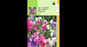 Zaden Lathyrus Reuk- of Siererwt Bijou gemengd Hortitops - Hortitops