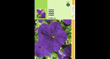 Zaden Petunia Raadsheer Hortitops - Hortitops