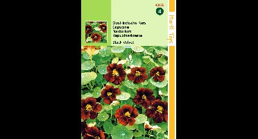 Zaden Tropaeolum Oost-Indische Kers Black Velvet Hortitops - Hortitops
