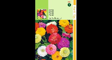 Zaden Zinnia Dahliabloemig Hortitops - Hortitops