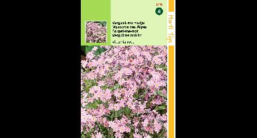 Zaden Myosotis Vergeet-me-nietje Victoria Rose Hortitops - Hortitops