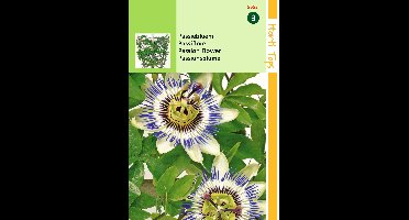 Zaden Passiflora Passiebloem Hortitops - Hortitops