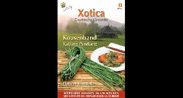Zaden Xotica Kousenband zwartzadig Buzzy - Buzzy
