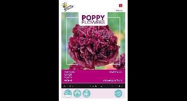Zaden Poppies of the world - Papaver Black Paeony Buzzy - Buzzy