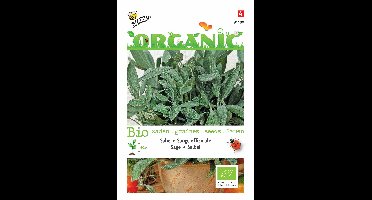 Zaden Organic Salie (BIO) Buzzy - Buzzy