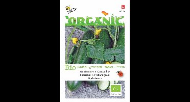 Zaden Organic Komkommer Marketmore (BIO) Buzzy - Buzzy