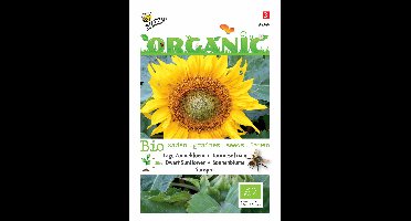 Zaden Organic Helianthus Lage zonnebloem Sunspot (BIO) Buzzy - Buzzy