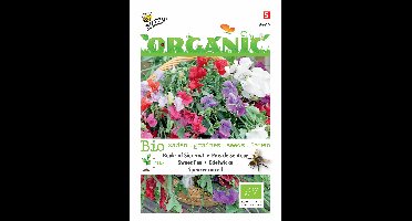 Zaden Organic Lathyrus Reuk- of Siererwt Spencer (BIO) Buzzy - Buzzy