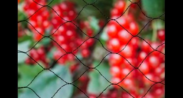 Tuinnet primo zwart maaswijdte 28x28mm 12 g/m2 5x2m Nature - Nature