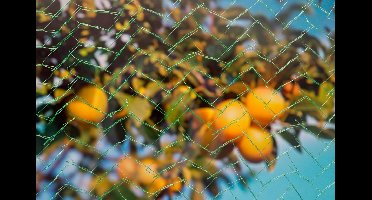 Tuinnet mono groen maaswijdte 6x6mm 7,5 g/m2 10x4m Nature - Nature