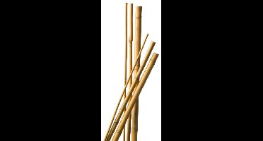 Bamboestok naturel H90cm dia. 8-10mm set a 7 stuks Nature - Nature