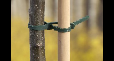 Universele bindband met rattenstaartsluting groen 17cm set a 40 stuks Nature - Nature