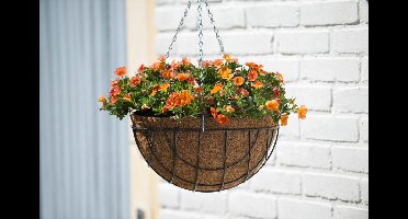 Hanging basket metaaldraad groen geepoxeerd incl. ketting H13x dia. 25cm Nature - Nature