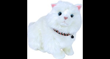 Kattenhalsband elastisch zwart/roze Kitten-en-kattenhalsbanden Gebr. de Boon - Gebr de boon