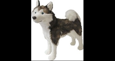 Boony Natural Decoration pluche husky 53 cm staand Boony-Natural-Decoration Gebr. de Boon - Gebr de boon
