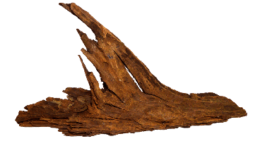 Driftwood Ss aquaria SuperFish - Superfish