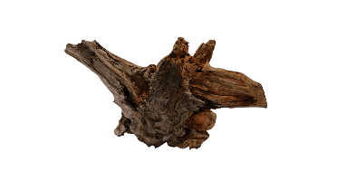 Driftwood Xl aquaria SuperFish - Superfish