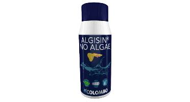 Algisin Aquarium 100 Ml aquaria Colombo - Colombo