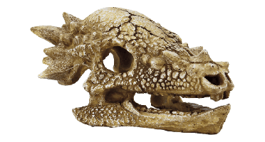 Skull T Rex M aquaria Superfish - Superfish