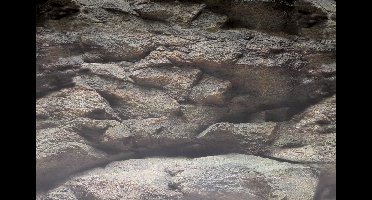 Deco Poster B3 100X49 Cm aquaria Superfish - Superfish