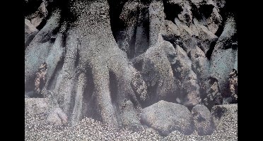 Deco Poster D6 150X61 Cm aquaria Superfish - Superfish