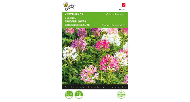 Zaden cleome kattensnor colour fountain 0.5 gram Buzzy - Buzzy