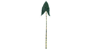 Calla lily leaf green 79 cm kunstbloem Erutan Avon - Erutan avon