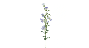 Campanula spray lavender 88 cm kunstbloem Erutan Avon - Erutan avon
