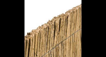 Rietplaat 150 cm Tuindeco - Tuindeco