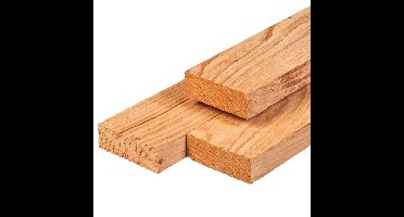 Ligger douglas 5,0x15,0x500 cm Tuindeco - Tuindeco