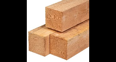 Paal douglas 20,0x20,0x400 cm Tuindeco - Tuindeco
