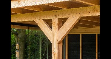 Ligger douglas 5,0x15,0x300 cm Tuindeco - Tuindeco