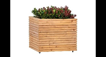 Bloembak RCW Krefeld 60x80x60 cm / op wieltjes Tuindeco - Tuindeco