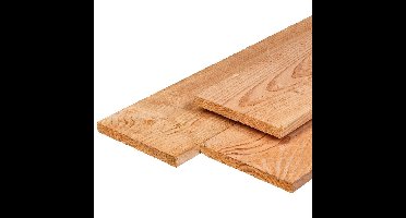 Plank douglas 2,2x20,0x500 cm Tuindeco - Tuindeco