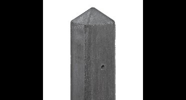 Berton paal Schelde antraciet hoekmodel 190 cm Tuindeco - Tuindeco