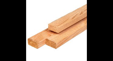 Regel douglas 2,1x4,5x300 cm Tuindeco - Tuindeco