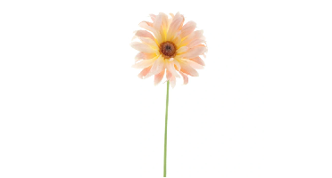 Gerbera spray Lotte peach 76 cm kunstbloem Erutan Avon - Erutan avon