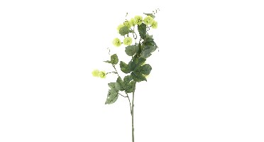 Hop flower spray Leffe green 81 cm kunstbloem Erutan Avon - Erutan avon