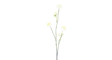 Mini zinnia spray white 88 cm kunstbloem Erutan Avon - Erutan avon