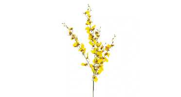 Oncidium orchid spray yellow 93 cm kunstbloem Erutan Avon - Erutan avon