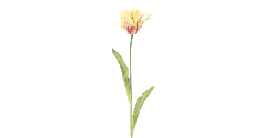 PSO Single parrot spray Sally yellow 71 cm kunstbloem Erutan Avon - Erutan avon