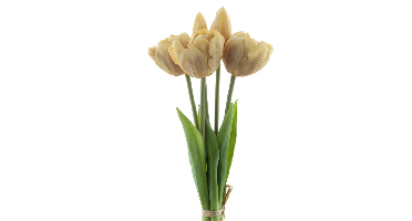 PSO Triumph tulip bundle Sally x5 champagne 29 cm kunstbloem Erutan Avon - Erutan avon