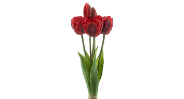 PSO Triumph tulip bundle Sally x5 red 29 cm kunstbloem Erutan Avon - Erutan avon
