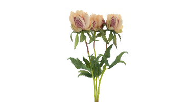 Paeony Marlie bundle a 3 pcs peach 48 cm kunstbloem Erutan Avon - Erutan avon